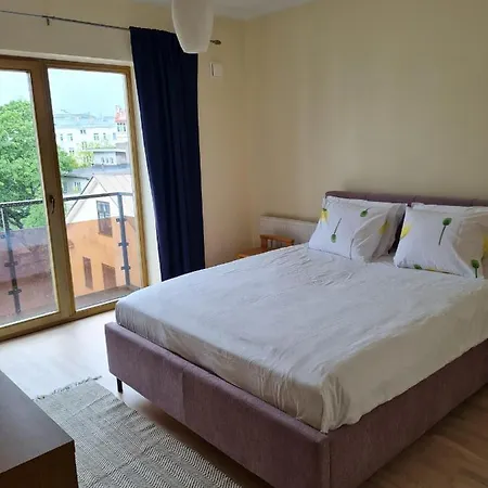 Cozy One Bedroom In Center *