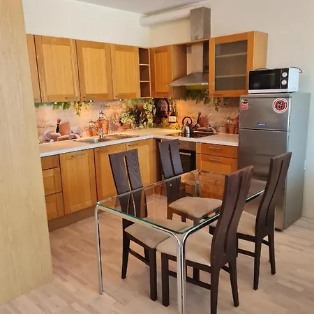 Apartament Cozy One Bedroom In Center *