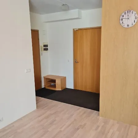 Apartamento Cozy One Bedroom In Center