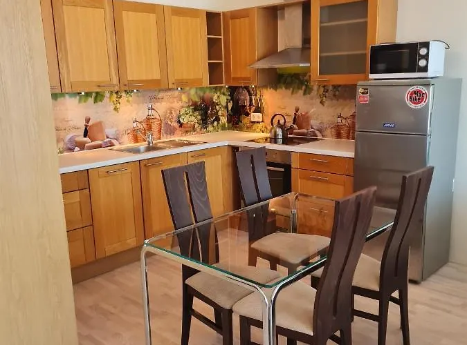 Lejlighed Cozy One Bedroom In Center *