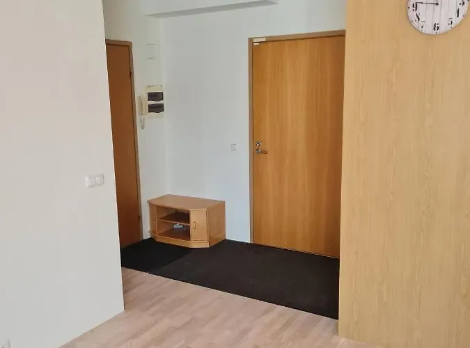 Lägenhet Cozy One Bedroom In Center